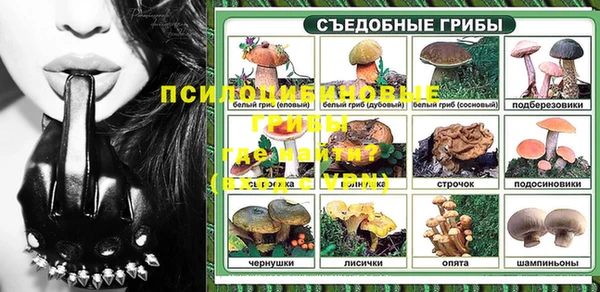ALPHA-PVP Белокуриха