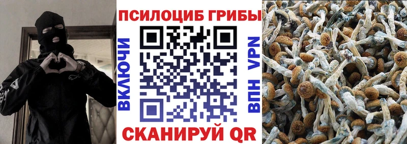 Псилоцибиновые грибы Cubensis Кореновск